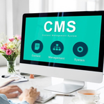 Load image into Gallery viewer, CMS Website Development

